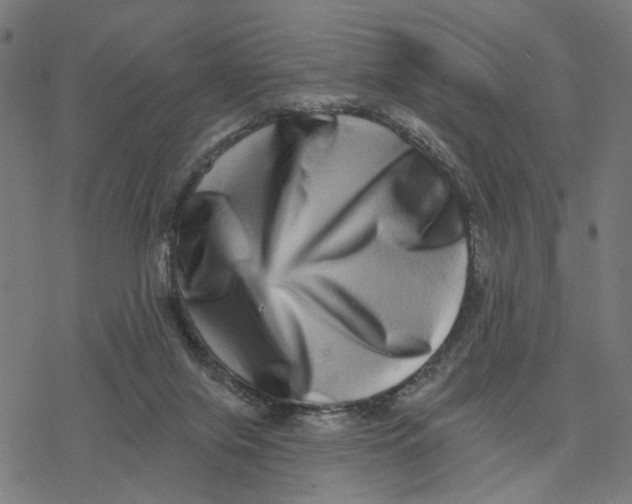 X0000077310071200611101443