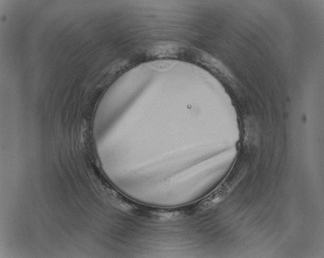 X0000077310073200611101443