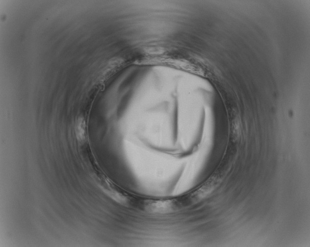 X0000077310081200611101444