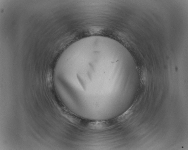 X0000077310082200611101444
