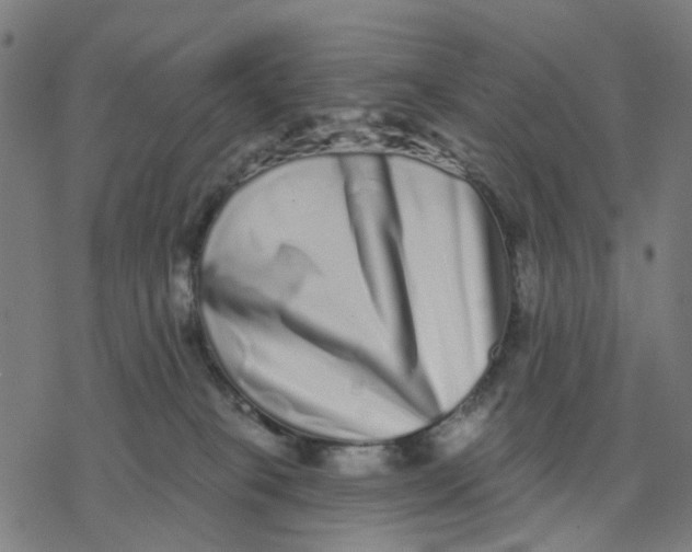 X0000077310085200611101444