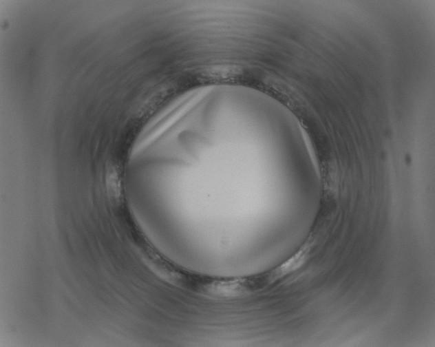 X0000077310086200611101444