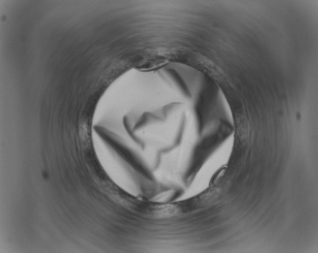 X0000077310087200611101444