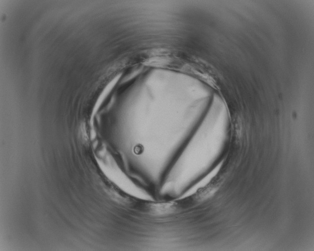 X0000077310089200611101444