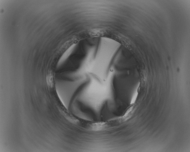 X0000077310090200611101444