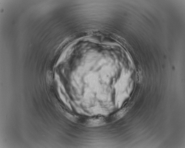 X0000077310093200611101444
