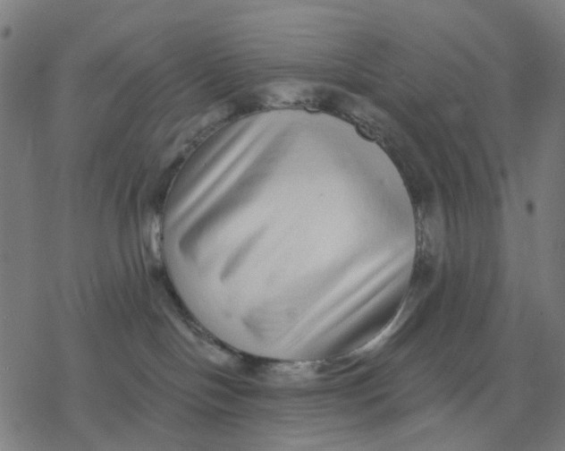 X0000077310094200611101444