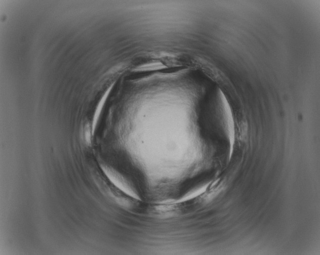 X0000077310095200611101444