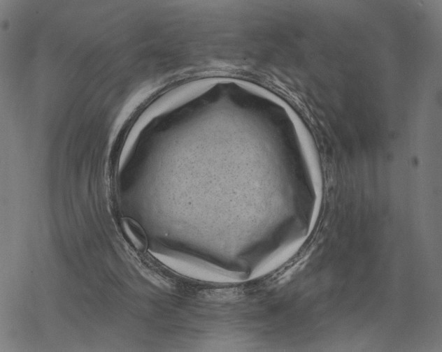 X0000077310102200611101443