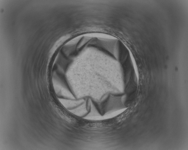 X0000077310104200611101443
