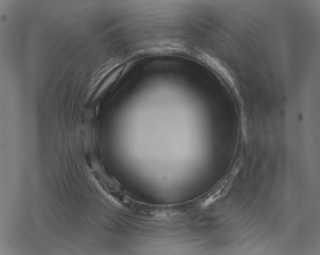 X0000077310105200611101443