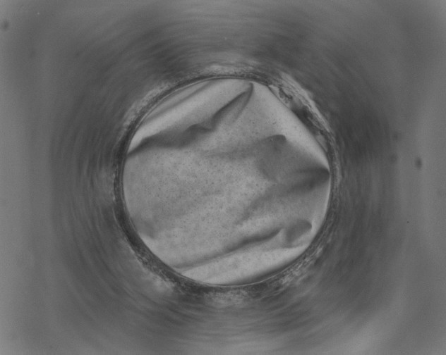 X0000077310106200611101443