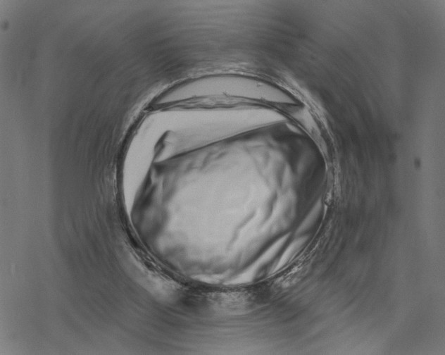 X0000077310107200611101443