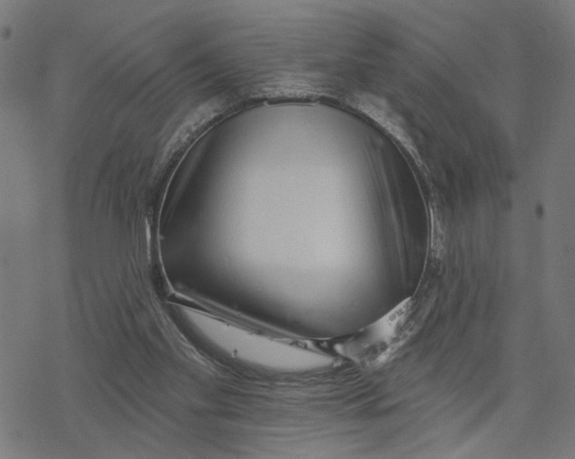 X0000077310109200611101443
