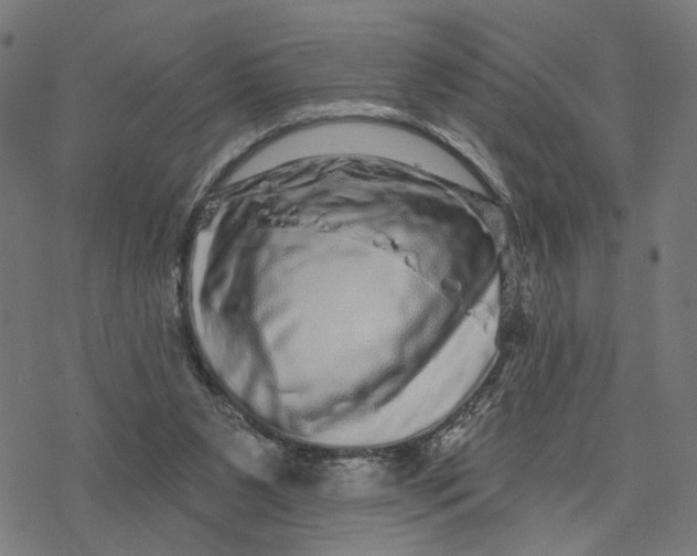 X0000077310111200611101443