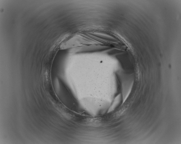 X0000077310117200611101443