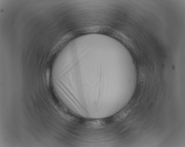 X0000077310118200611101443