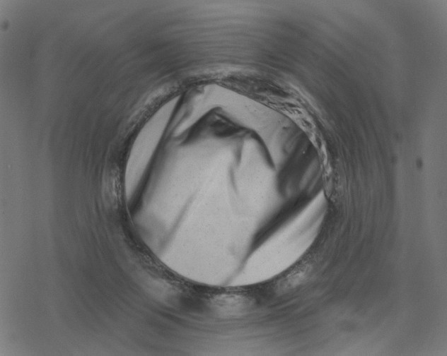 X0000077310119200611101443