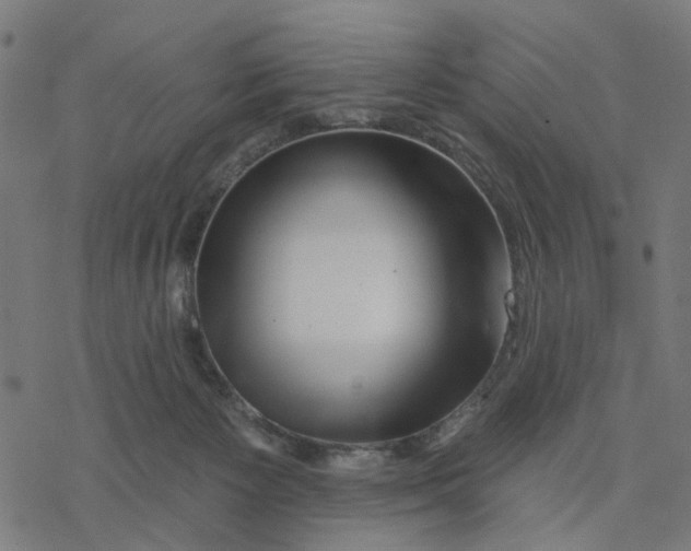 X0000077310125200611101443