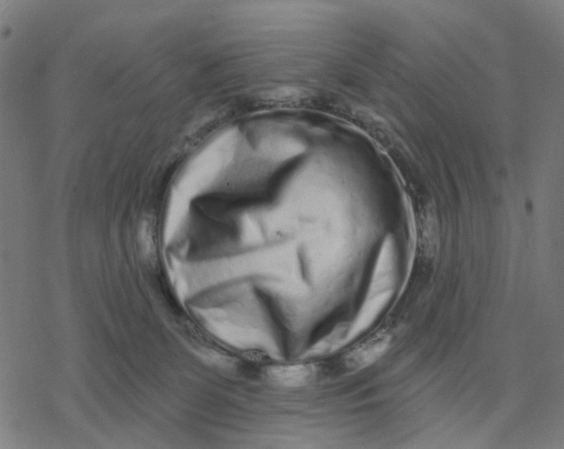 X0000077310131200611101442