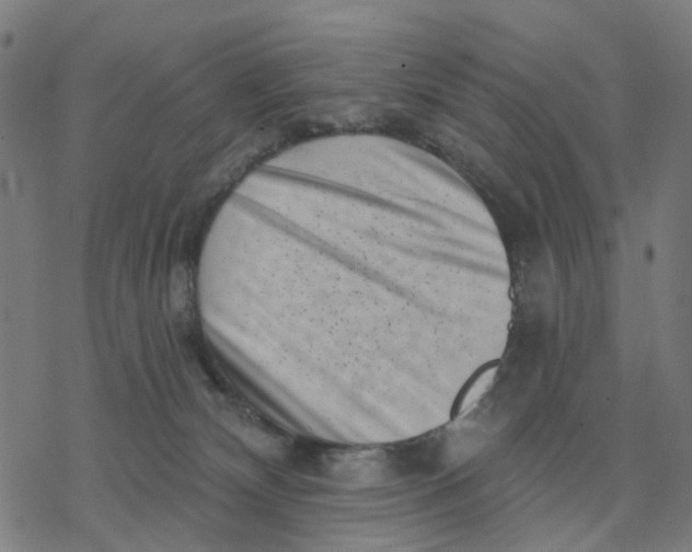 X0000077310132200611101442