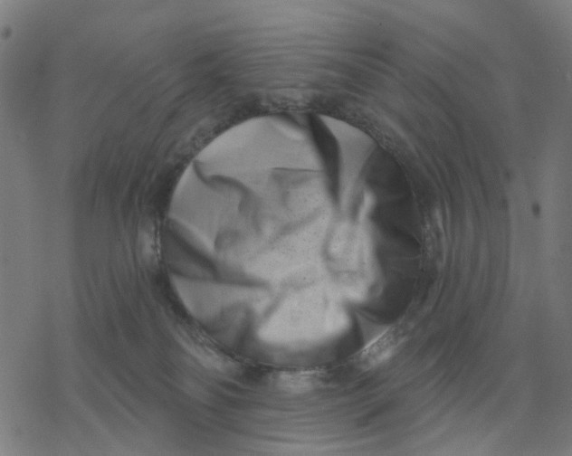 X0000077310134200611101442
