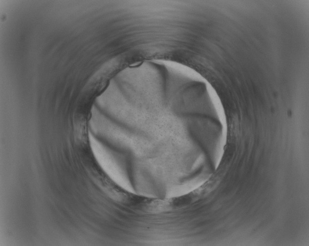 X0000077310138200611101442