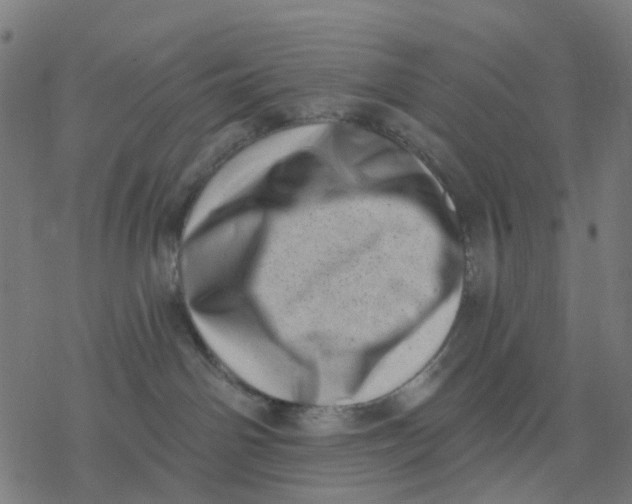 X0000077310142200611101442