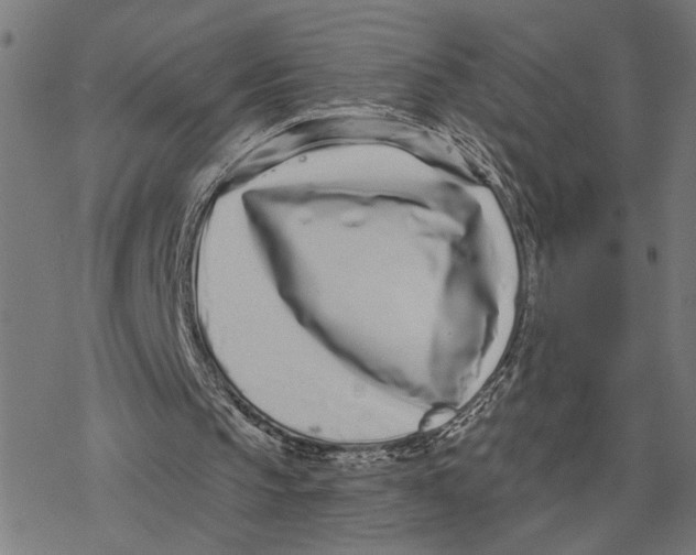 X0000077310145200611101441