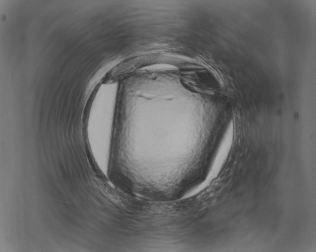 X0000077310147200611101442