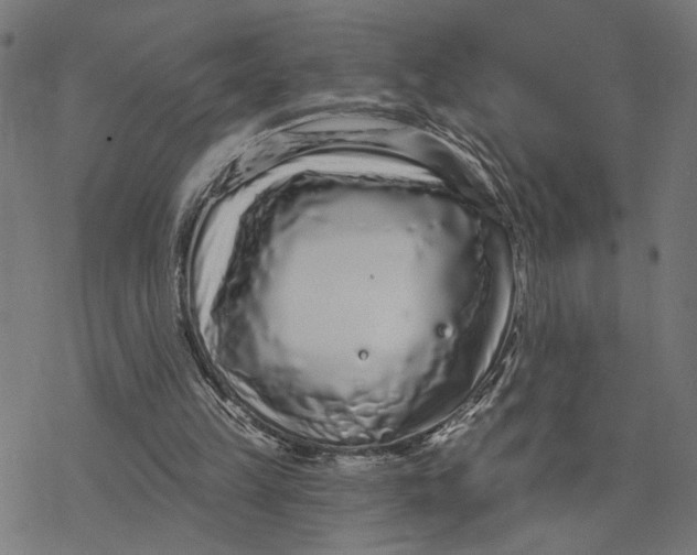 X0000077310149200611101442