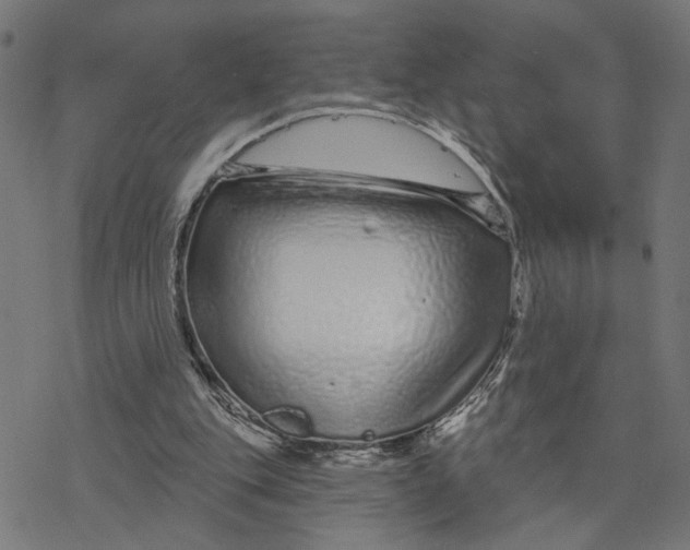 X0000077310151200611101442
