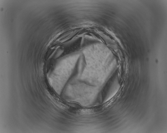 X0000077310154200611101442