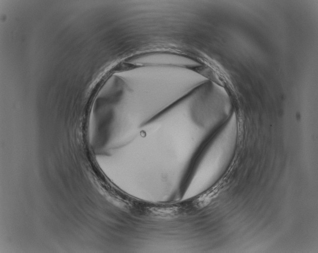X0000077310155200611101442