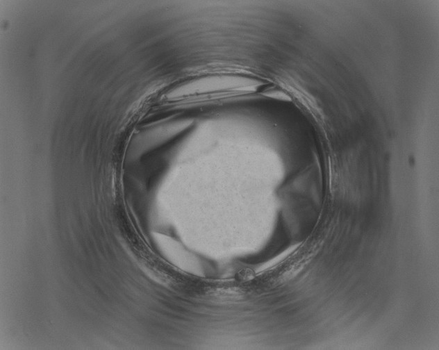 X0000077310157200611101442