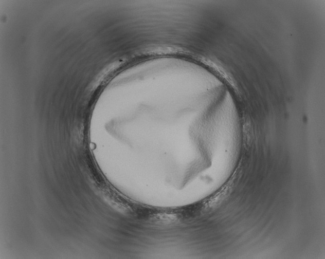 X0000077310159200611101442