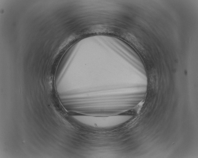 X0000077310160200611101442