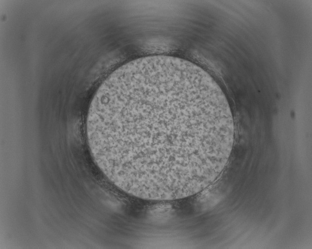 X0000077310162200611101442