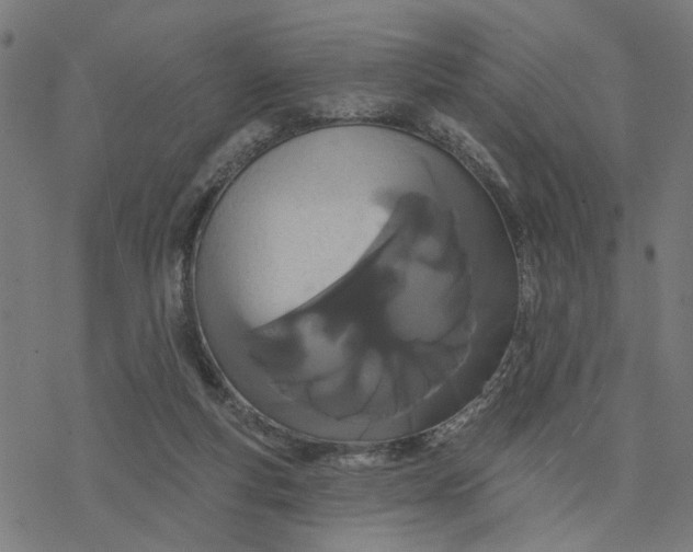 X0000077310163200611101442