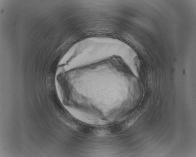 X0000077310165200611101442