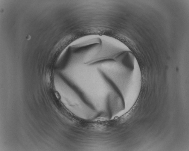 X0000077310166200611101442