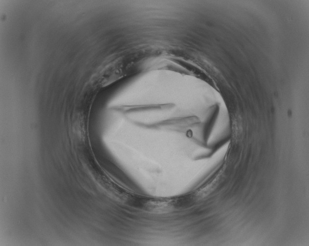 X0000077310170200611101442