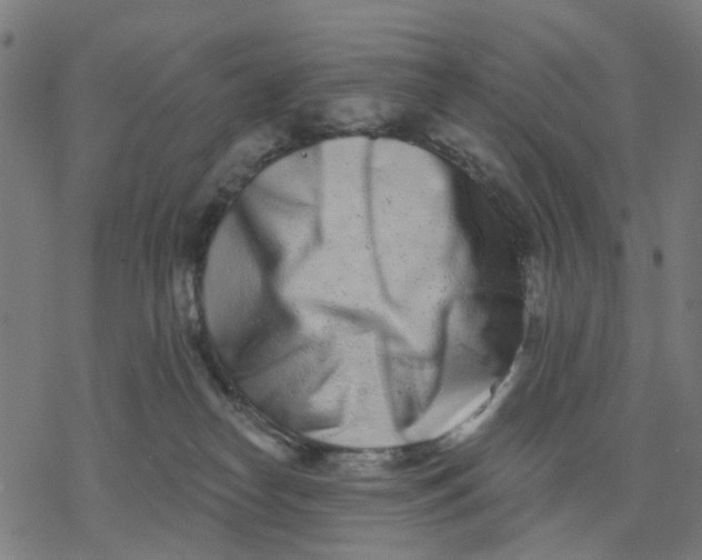 X0000077310182200611101442