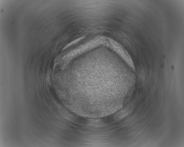 X0000077310185200611101442