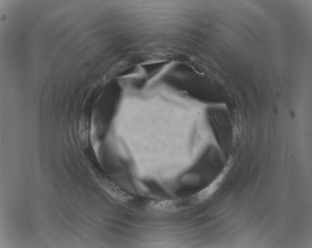 X0000077310186200611101442