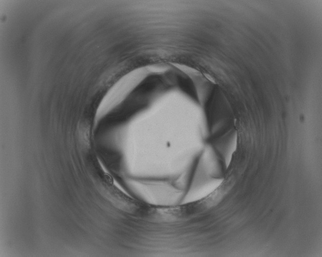 X0000077310188200611101442