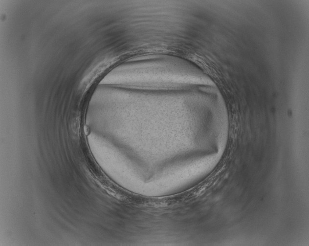 X0000077310194200611101441