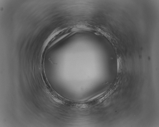 X0000077310195200611101441