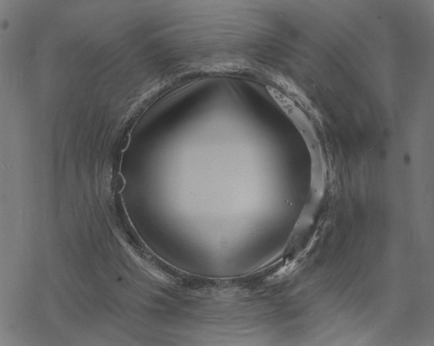 X0000077310201200611101441