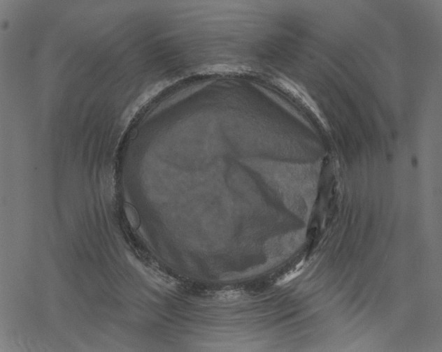 X0000077310204200611101441
